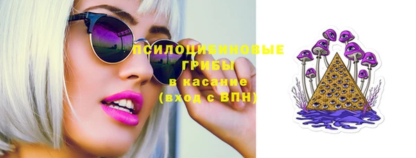 стаф Алзамай