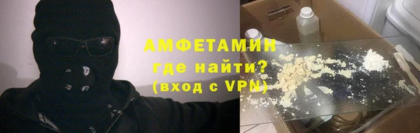 стаф Алзамай