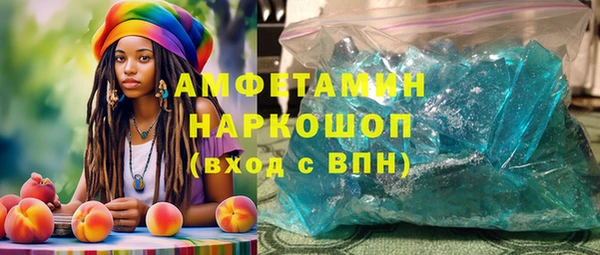 стаф Алзамай