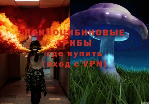 стаф Алзамай