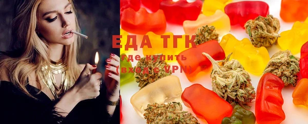стаф Алзамай