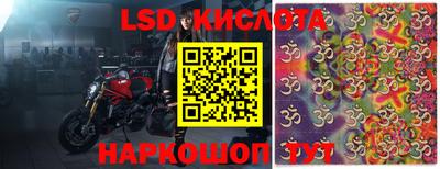 спиды Кингисепп