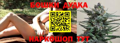 спиды Кингисепп