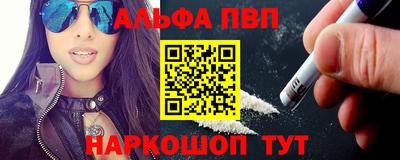 спиды Кингисепп