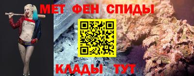 спиды Кингисепп