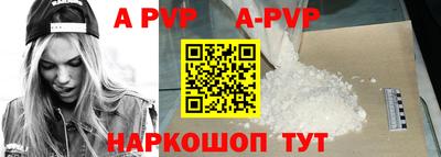 спиды Кингисепп