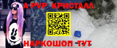 спиды Кингисепп